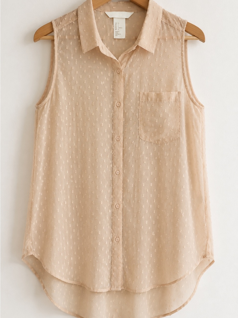 H&M Blush Sheer Swiss Dot Sleeveless Button Blouse Size 6